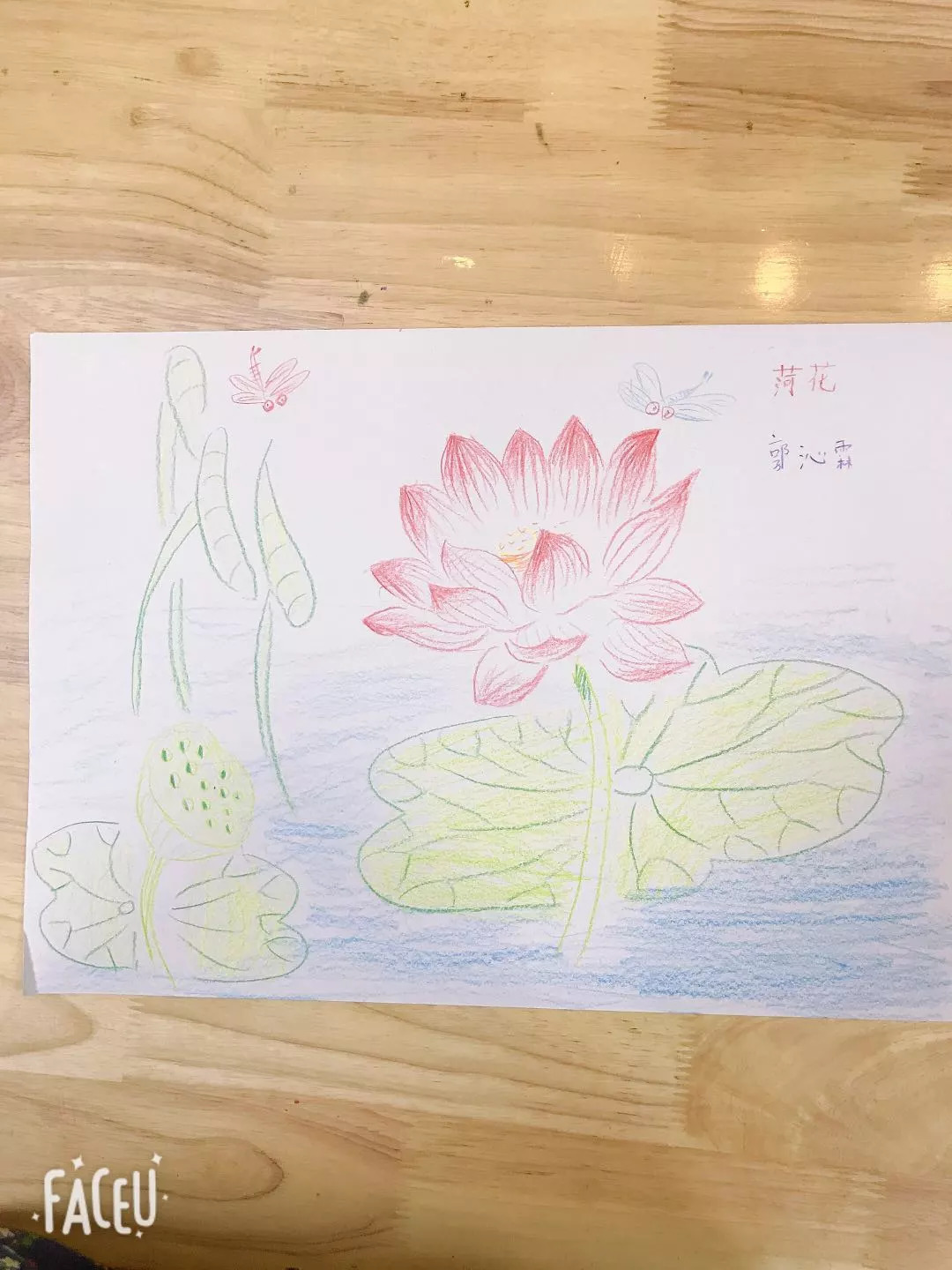 静安| 少儿美术彩铅画——认识植物,美丽的花草