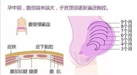 怀孕28周:到了第7个月的时候,准妈妈腹部隆起明显,宫底继续上升,子宫