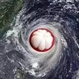 台风"山竹"的狂风骤雨有多猛?连老鹰都屈尊到深圳某小区求庇护了