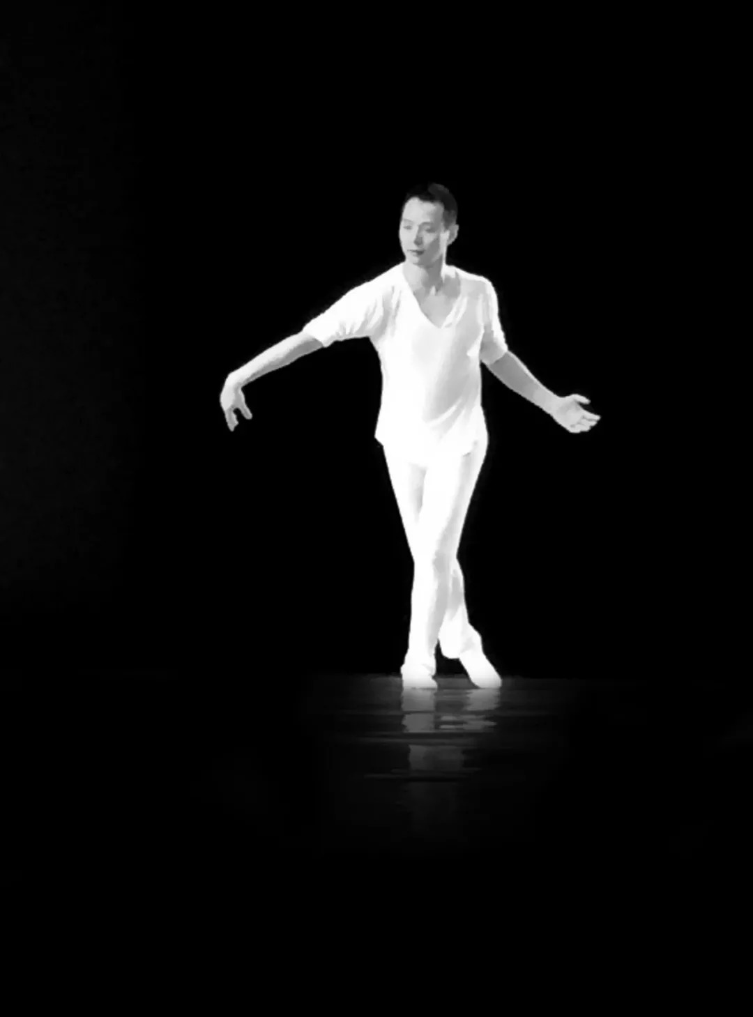 意大利舞蹈家加埃里•维斯特里的生平简介及故事_福建省拓福美术馆