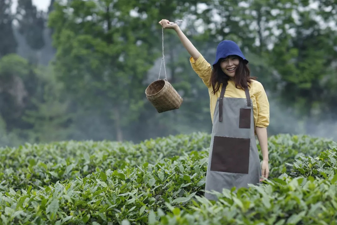 带娃采茶烧陶玩扎染,独立庭院读书喝茶,成都周末游新去处_明月村