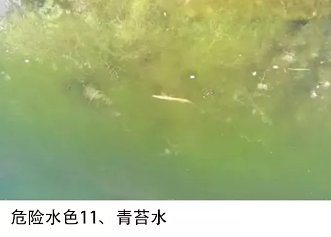 水產養殖識水圖譜 科技 第18張