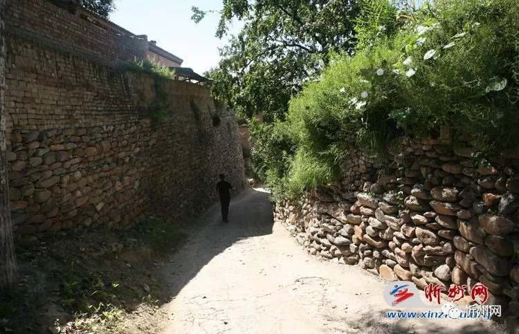 原平市长化身导游推介古寺古树古村落文化旅游线路