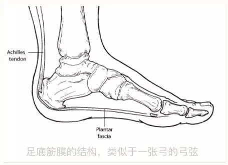 上了岁数脚后跟老疼痛是怎么回事