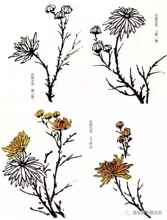 菊花写意画法步骤图文详解菊花与叶的组合画法