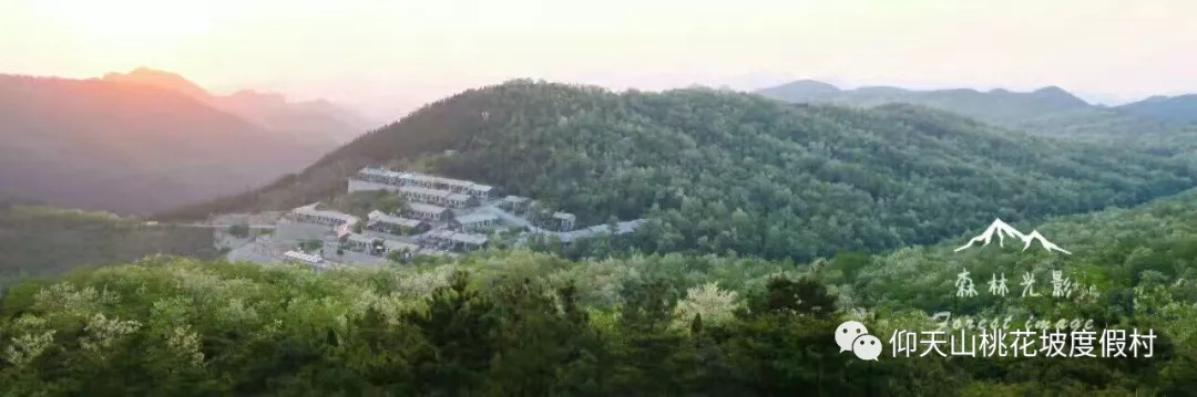 中秋佳节仰天山桃花坡酒店免费送门票啦