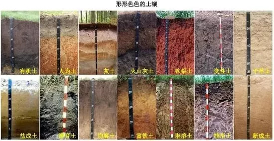 【资料】土壤有多少种颜色?多彩程度不逊于彩虹