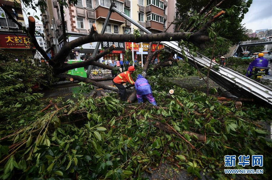 1 12 2018年9月17日,广东珠海,台风"山竹"过后,在拱北情侣路度假村