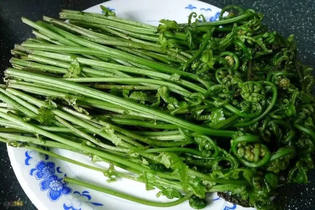 这道菜对大家来说并不陌生,水蕨菜为蕨类植物,含有丰富的蛋白质,碳水