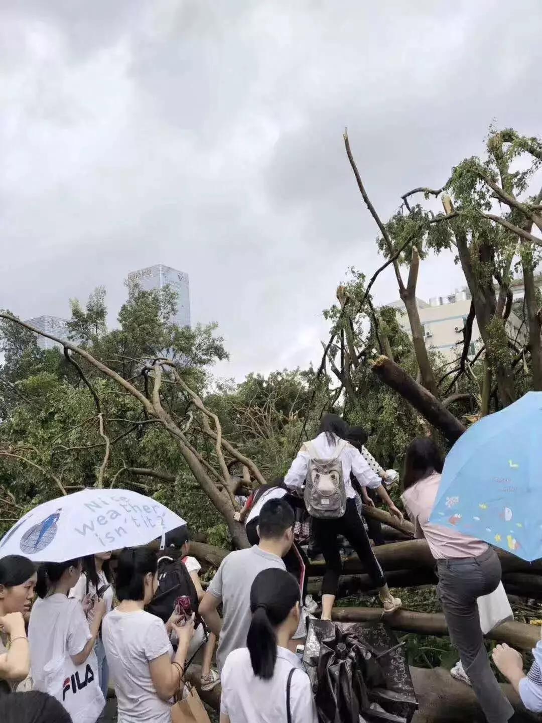 太恐怖了!史上最强台风"山竹"登陆,大楼电梯被吹断,堪称灾难片!