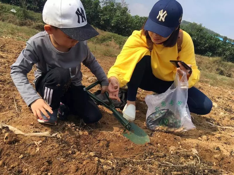 9月22日中秋节"快乐小农夫"亲子活动—体验劳动之乐,感受自然之美!