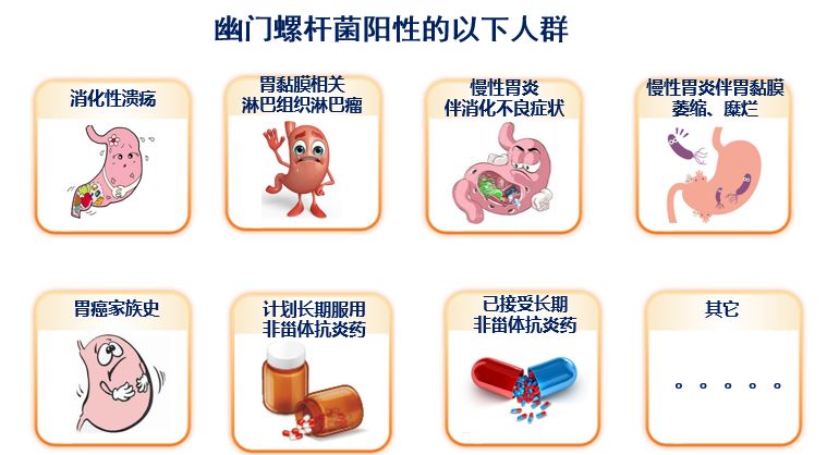 健康科普我新晋网红幽门螺杆菌在中国有7亿粉丝