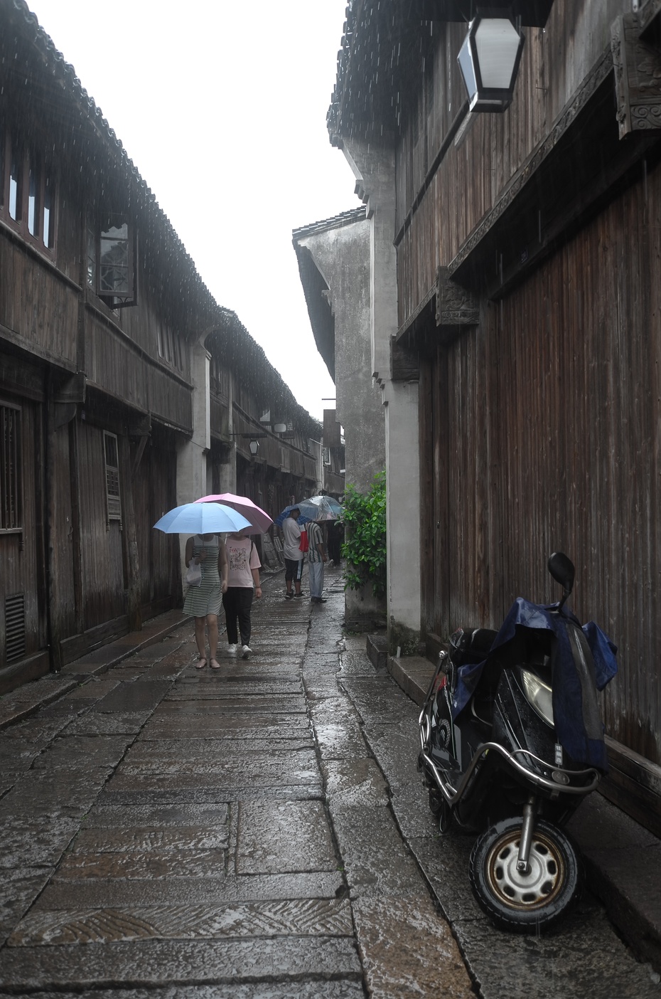 乌镇东栅:你的雨滴胜过世间万物