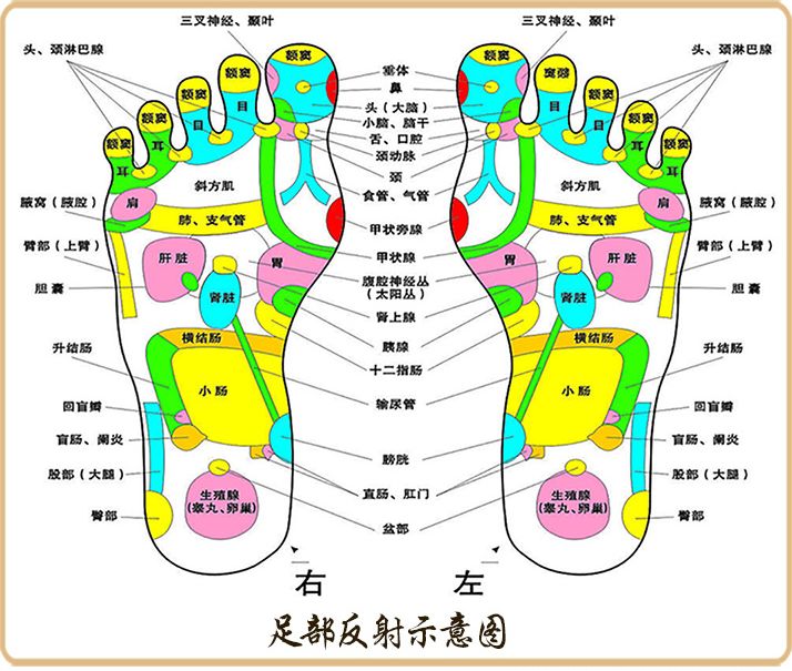 泰国royal皇家足贴竹醋/生姜/薰衣草