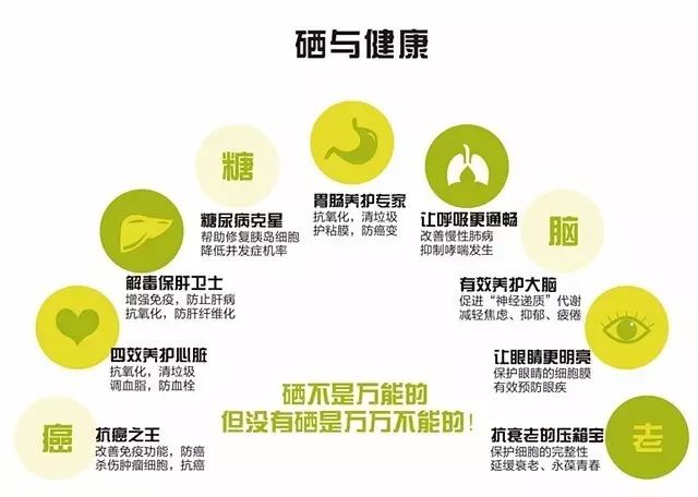 延缓人口增长趋势_中国人口增长趋势图(3)