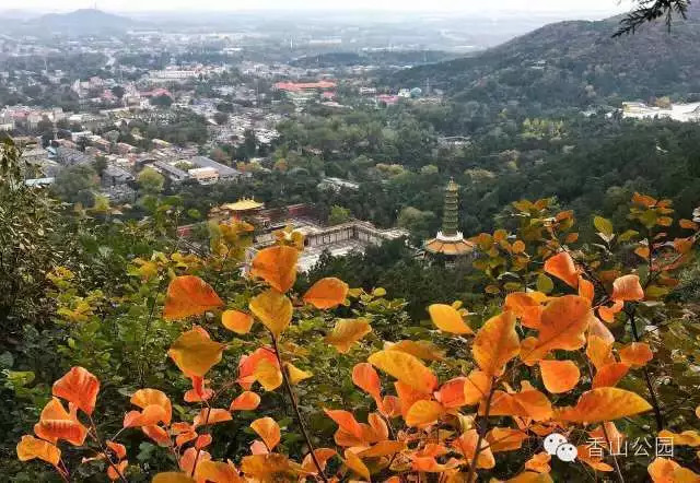 怎么搭香山_香山红叶简笔画怎么画(3)