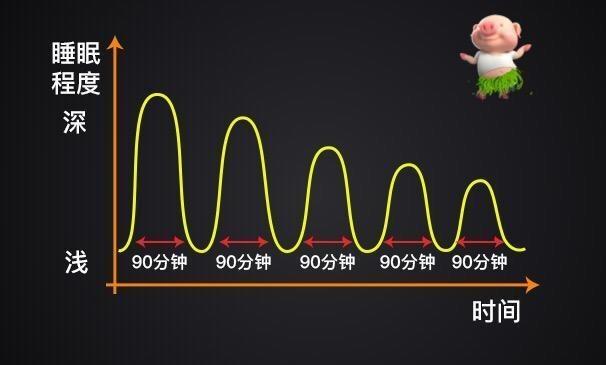 一般来说一次完美的睡眠是5个周期,也就是5x90分钟,7.5小时.