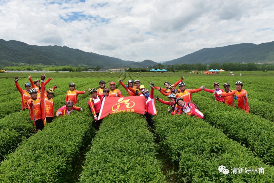 茶园骑行