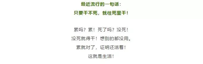 只要干不死,就往死里干(火了)——致自己!