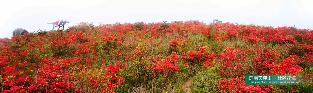 第八届宁德世界地质公园文化旅游节暨第十五届白水洋·鸳鸯溪文化节