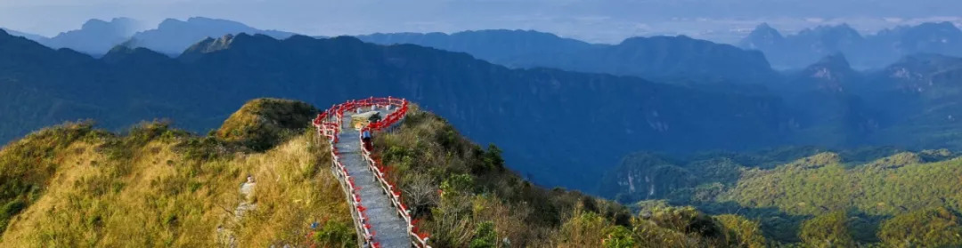 广西大明山,海拔1200米主峰龙头山海拔1785米是桂中南最高峰!