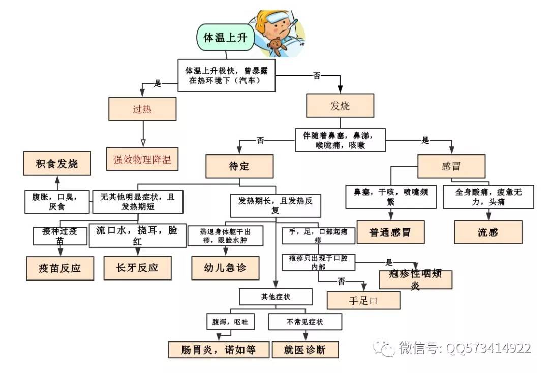 孩子发烧指南,一张发烧分析思维导图让我带你飞!