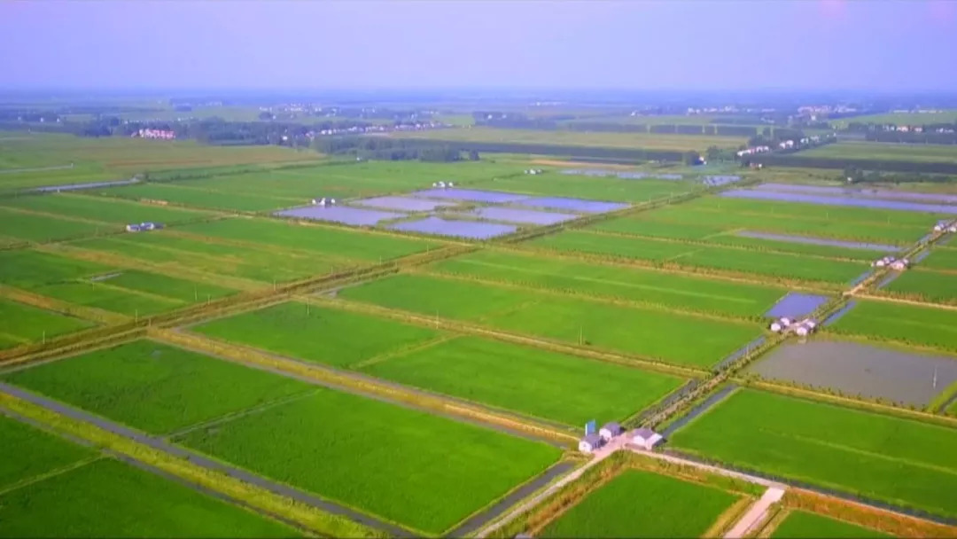 除了开幕式表演,潜江市还将在美丽的返湾湖国家湿地公园举行访谈活动.