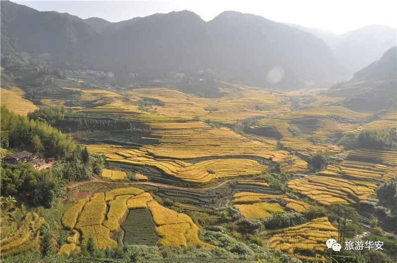 清爽华安丨第三届华安国际马拉松路线景点抢先看