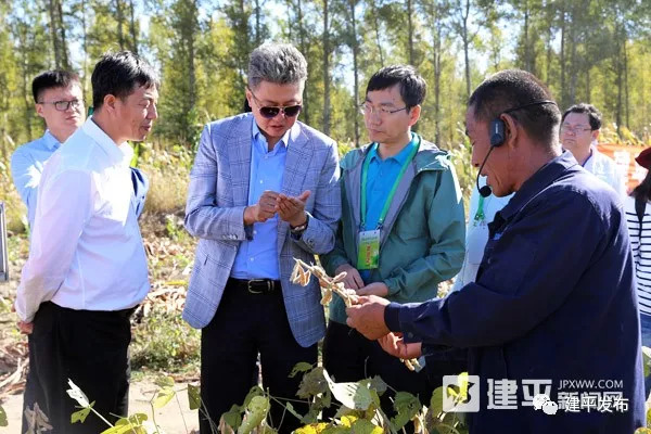 县委副书记郭喜春陪同专家实地观摩小塘镇新城村炭基