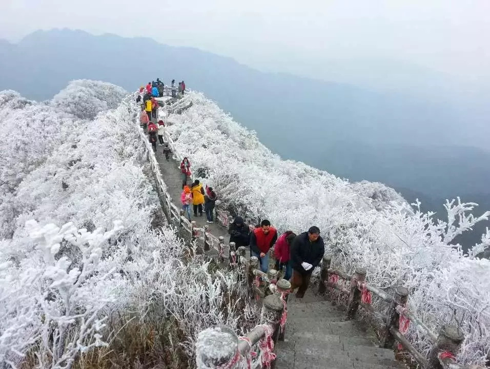 广西大明山,海拔1200米主峰龙头山海拔1785米是桂中南最高峰!