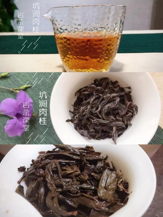 武夷岩茶选购是门学问,无论大红袍,水仙,肉桂,三张图教你辨别