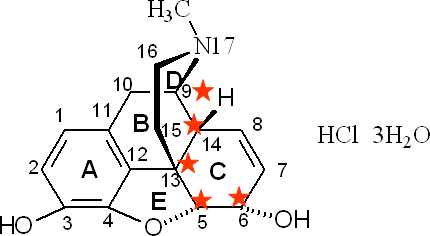 (一)吗啡类生物碱 盐酸吗啡(麻)作用于阿片受体的镇痛药3.