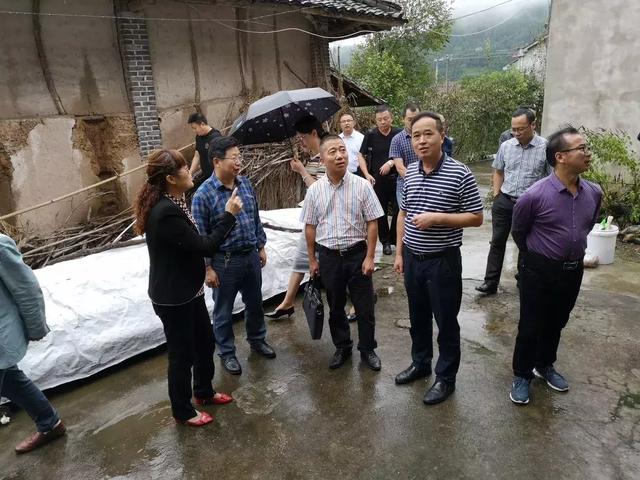 走访雨台中山村群众 在雨台山村,叶镇长一行在大王