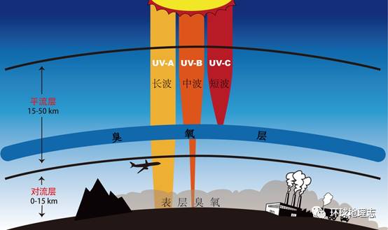 臭氧层知识附3d动画视频