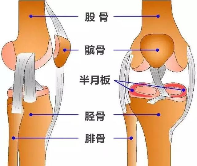 这个动作做不好你的膝盖可能有问题