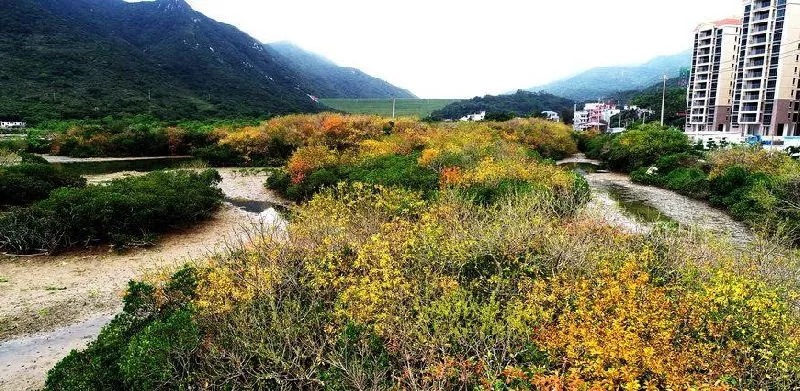 大鹏半岛的最南端东冲村