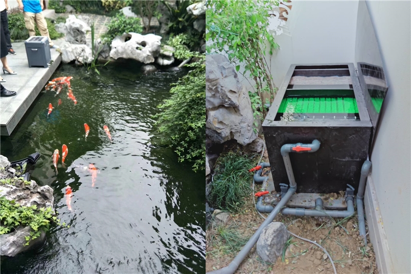 锦鲤鱼池过滤设备,鱼池过滤系统怎么正确选择