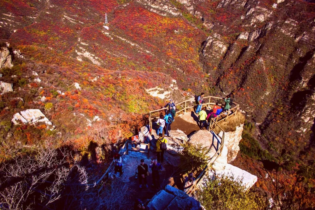 10月起20万株红叶燃爆坡峰岭,躺被窝里看风景