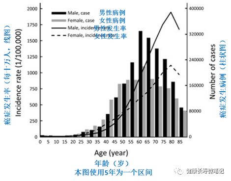 什么是标准化后人口_后位式是什么姿势图解