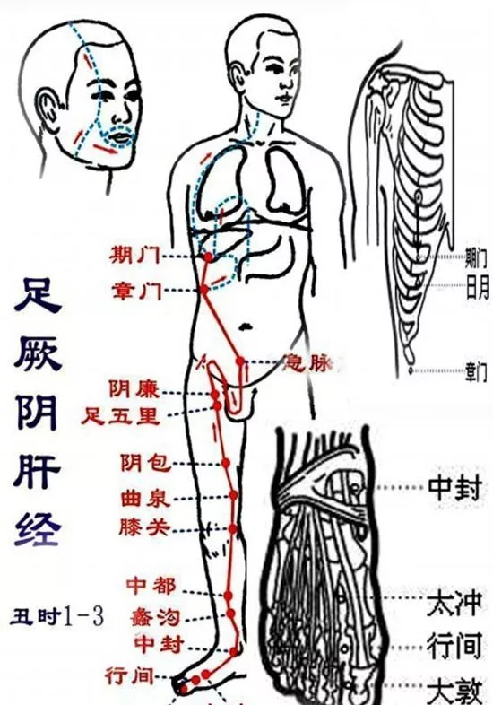 中医美容的基本原理是什么_中医望闻问切是指什么(3)