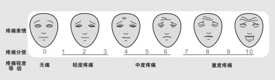 对照《面部表情疼痛评分量表》(见图2)进行疼痛评估,适用于自己表达