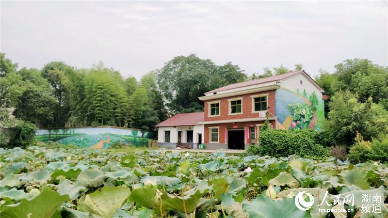 益阳市资阳区:特色小镇遍地开花 美丽乡村建设升级