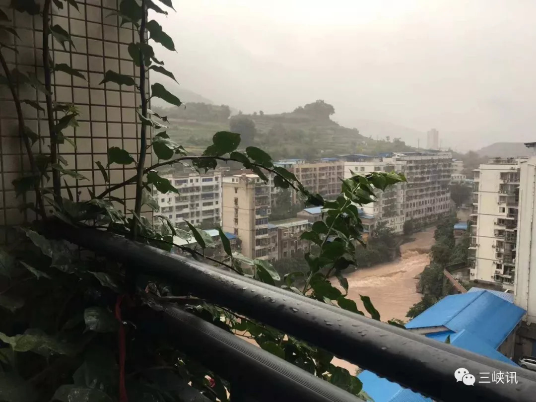 从万州城区到分水镇沿途都是大雨下个不停, 记者今早从城区经过分水