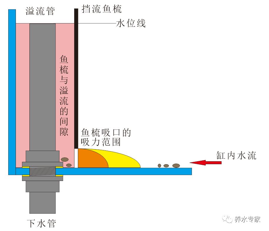 所以回到正题上,所以用上四角鱼梳配溢流管,也是会有沉淀过滤的效果.