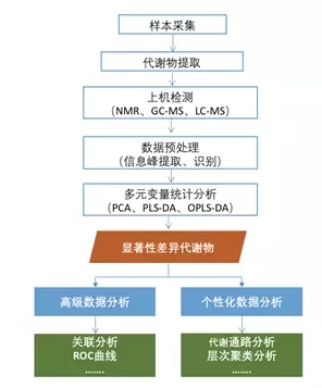 代谢组学的正确打开方式