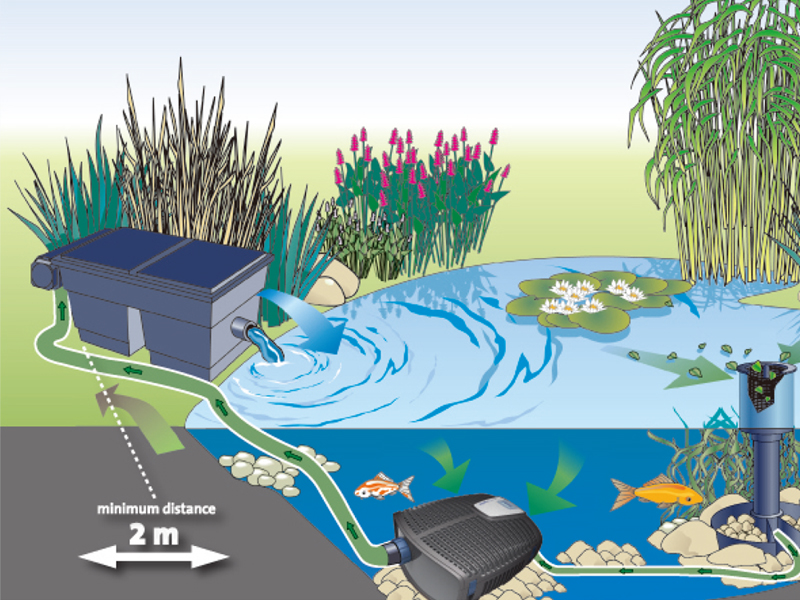锦鲤鱼池过滤设备鱼池过滤系统怎么正确选择