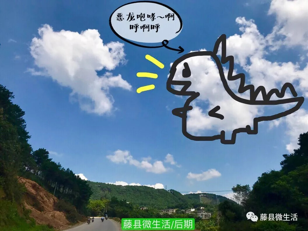 奇观,藤县天空的云惊现恐龙,小奶狗.