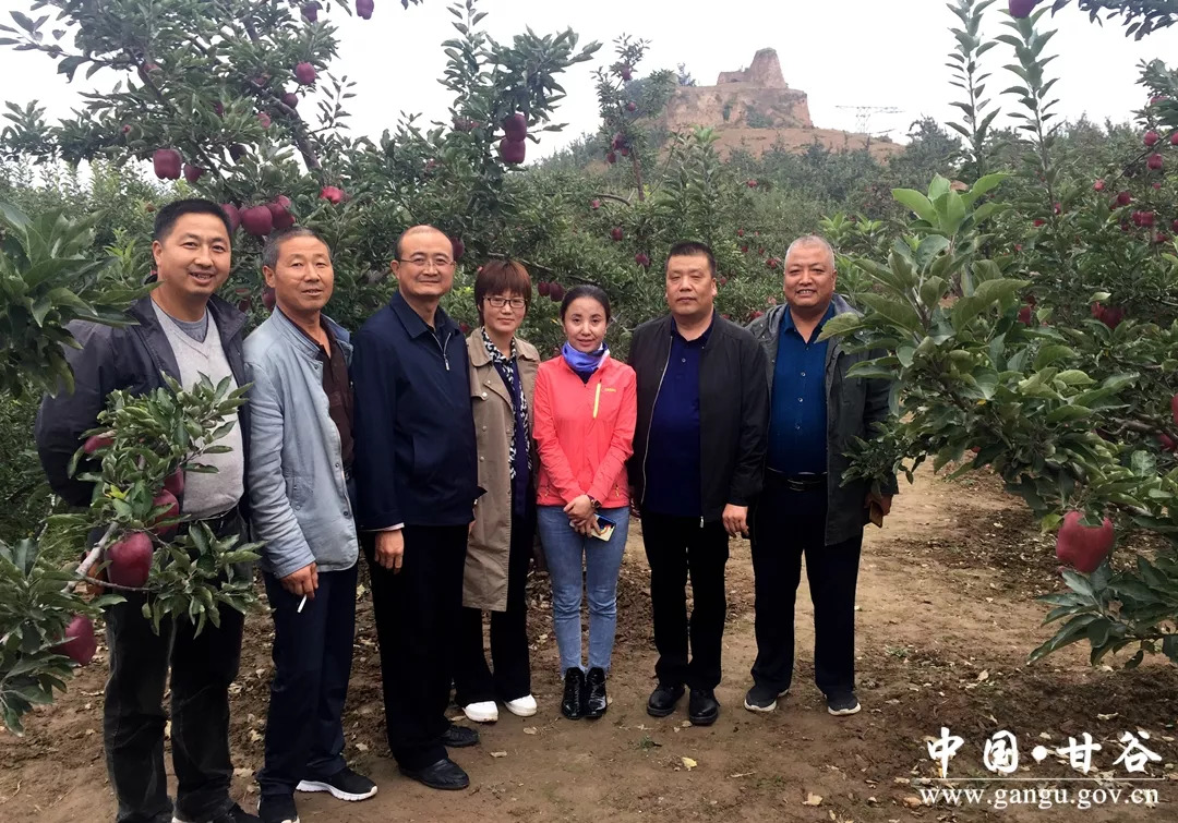 安远镇任山村的太阳能路灯是这个女人捐赠的!