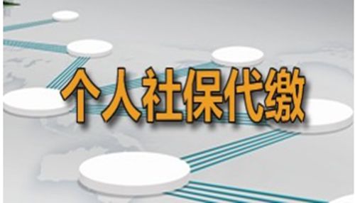 代缴社保 个人社保如何代缴