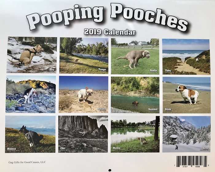 可能是史上最脏的挂历,2019年"pooping pooches"挂历出